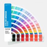 Daft Bunziblogger: MAZZETTA PANTONE DELLA REGINA